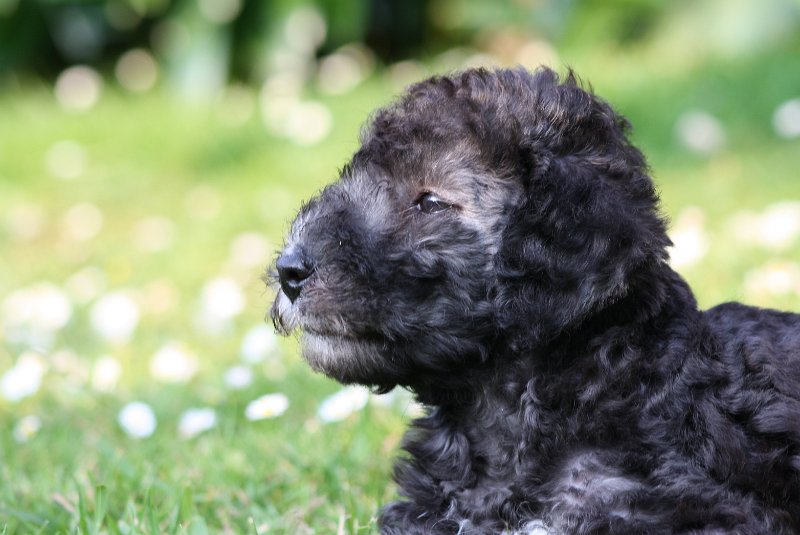 Arc-en-ciel Antares 2009-06-30 (37).JPG